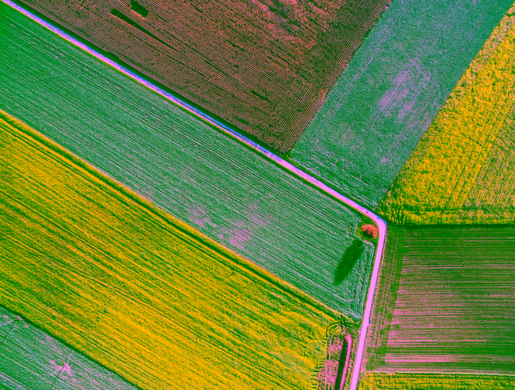 fields